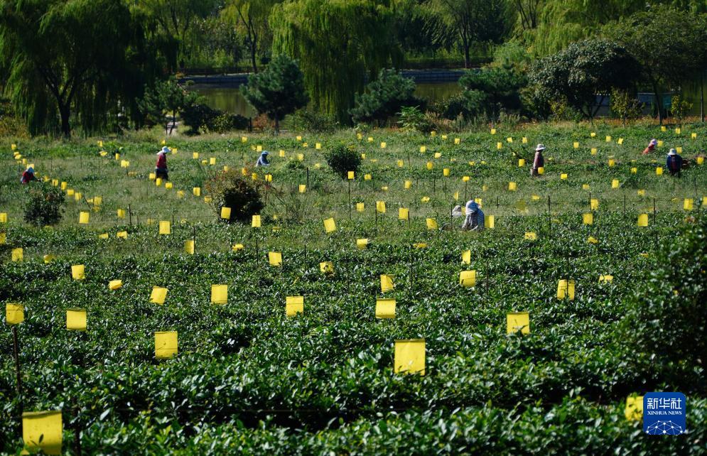 菲娱2区